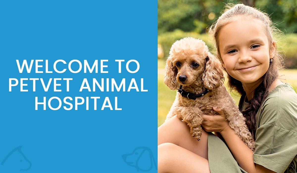 Welcome to Petvet Animal Hospital