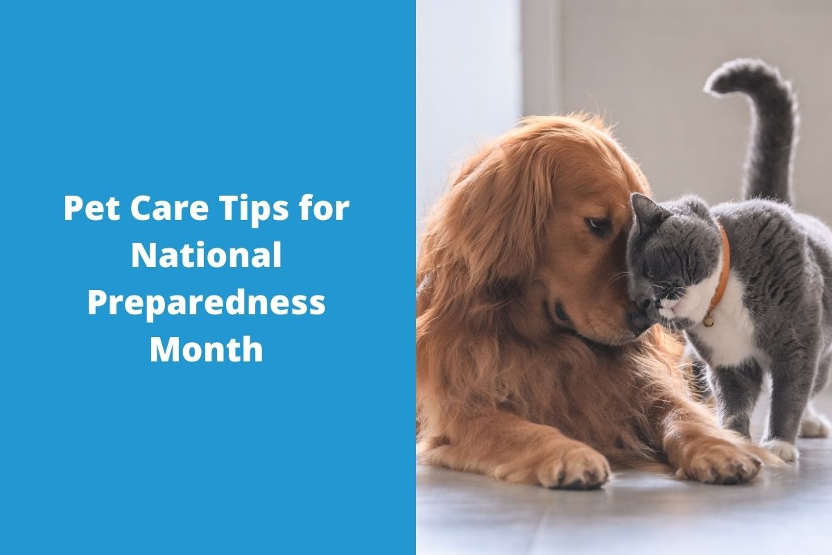 Pet-Care-Tips-for-National-Preparedness-Month