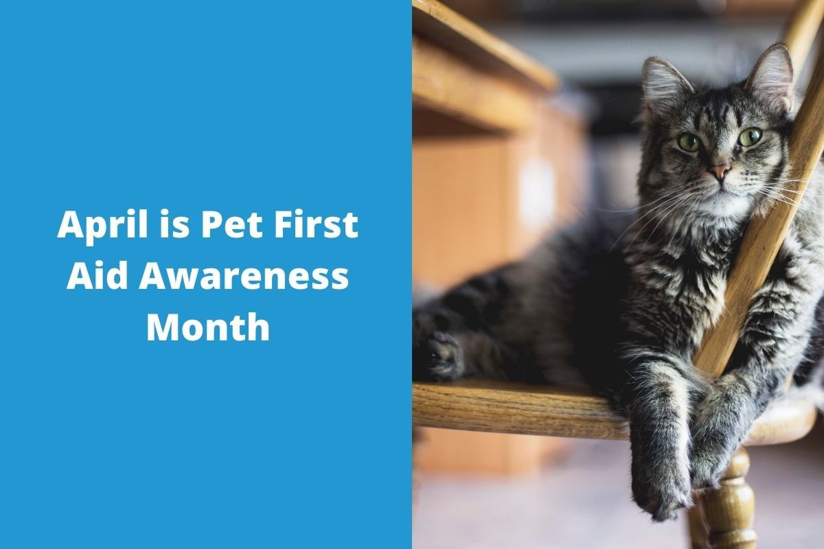 April-is-Pet-First-Aid-Awareness-Month