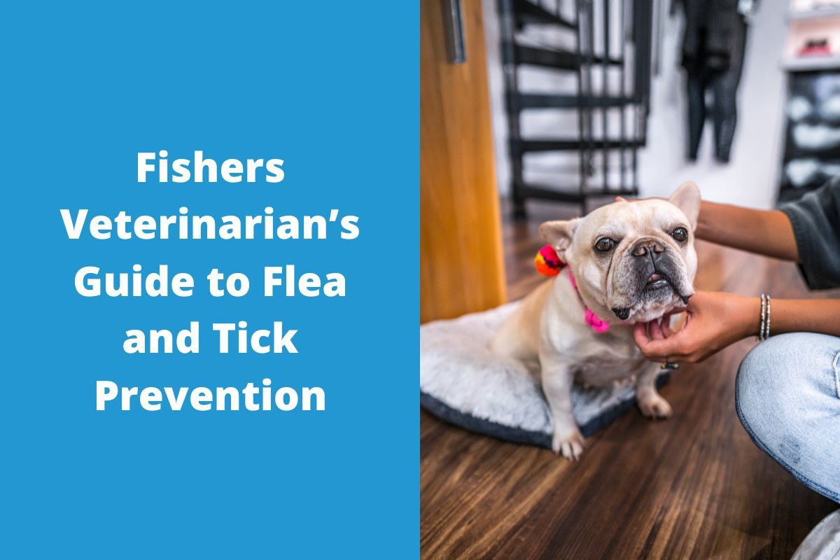Fishers-Veterinarians-Guide-to-Flea-and-Tick-Prevention