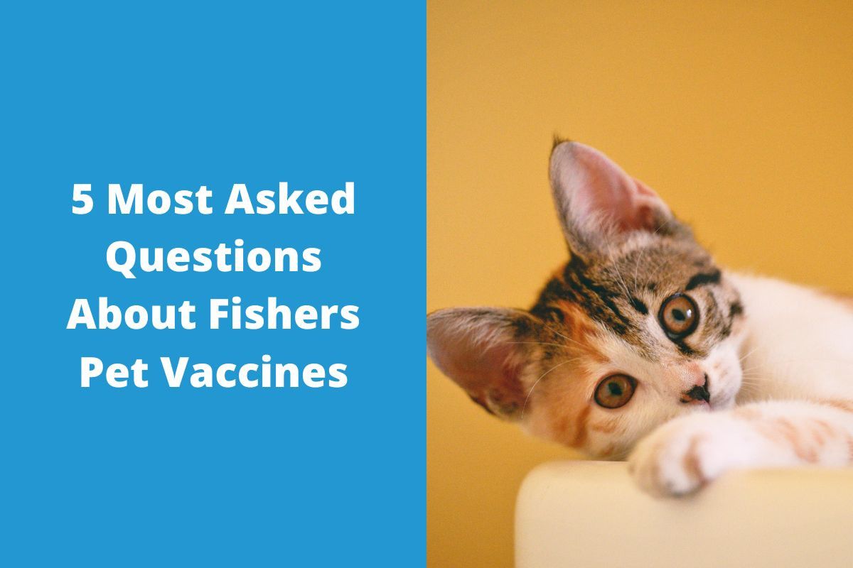 5-Most-Asked-Questions-About-Fishers-Pet-Vaccines